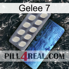 Jelly 7 34